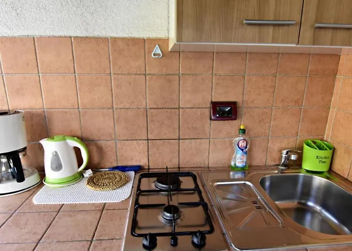 Vedrana 4 By Interhome Umag