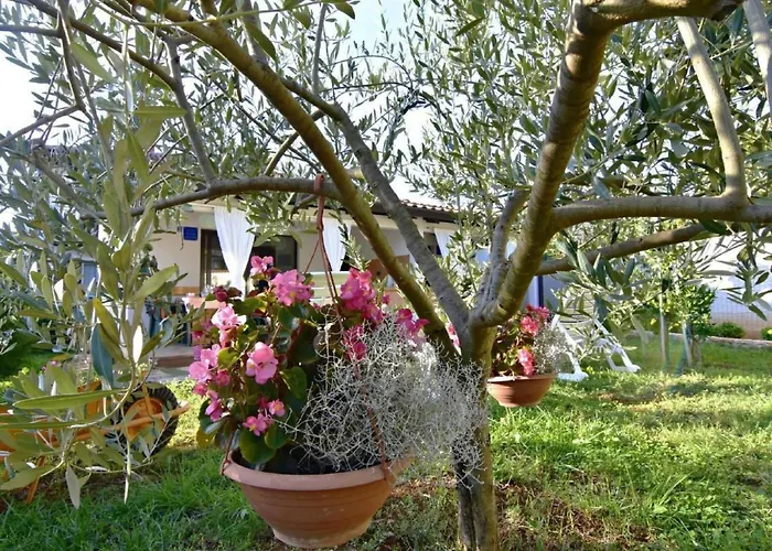 Vedrana 4 By Interhome Umag