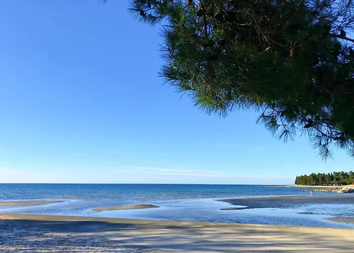 Vedrana 4 By Interhome Apartamento